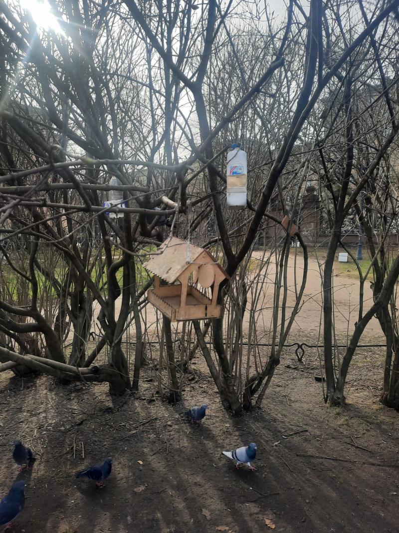 Другие кормушки