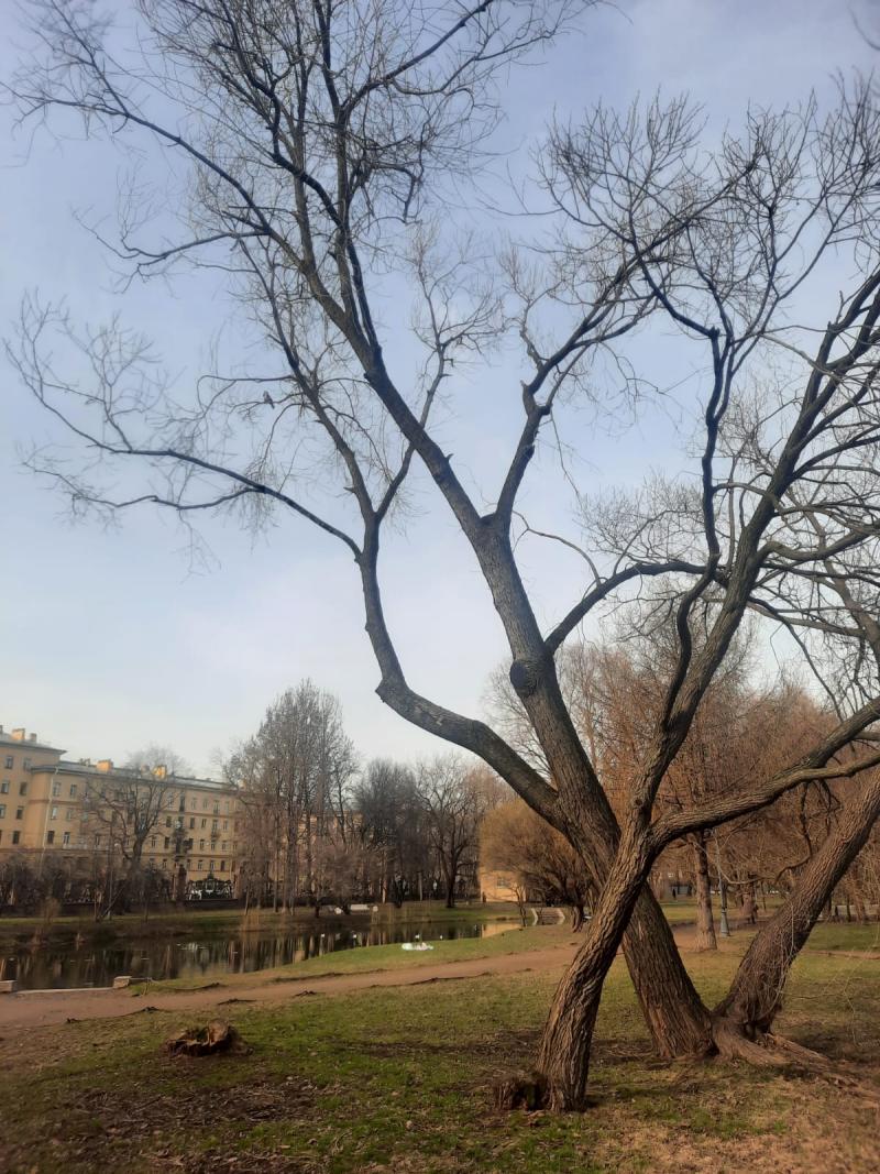 Вид на сад издалека